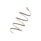 Ledvance Strisce LED Value 1500 60W 6180lm 24v - 865 Luce del Giorno | 5M/8mm